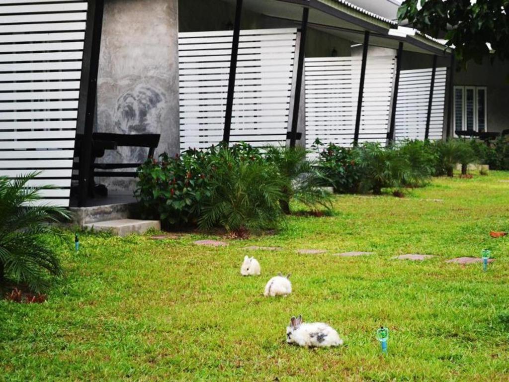 V Valley Resort Satun Exterior foto