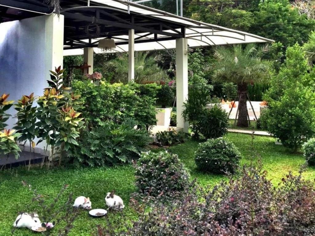 V Valley Resort Satun Exterior foto